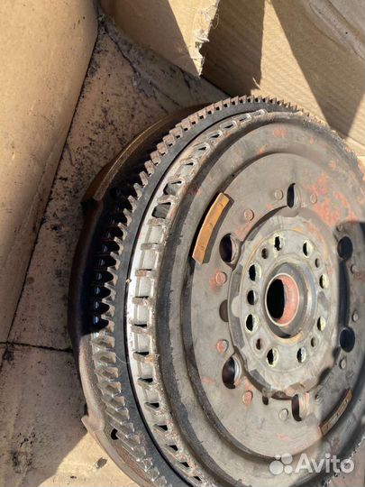 Моховик двух массовый