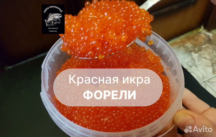 Красная икра форели свежая