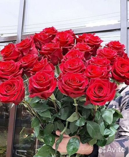 101 роза цветы букеты доставка 25 51 101 роза