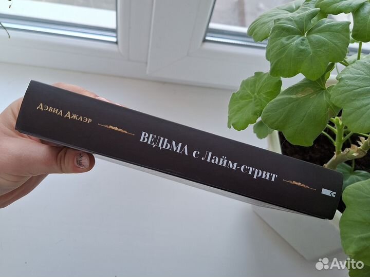 Ведьма с Лайм-стрит