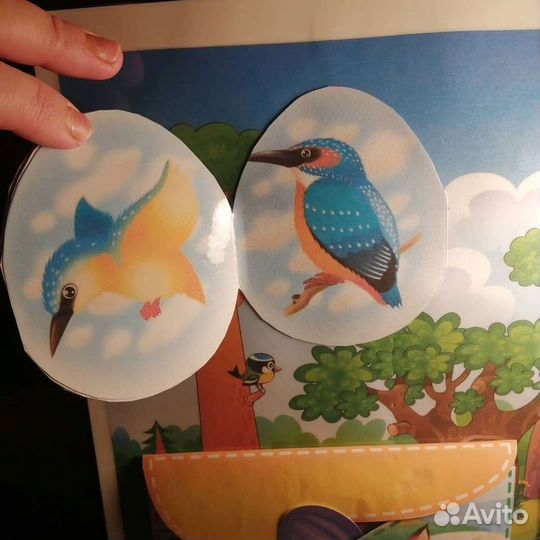 Лэпбук окружающий мир