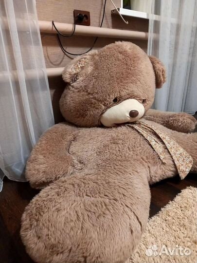 Большие плюшевые медведи