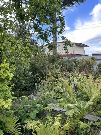 Дача 30 м² на участке 6 сот.