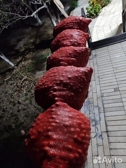 Грецкий орех