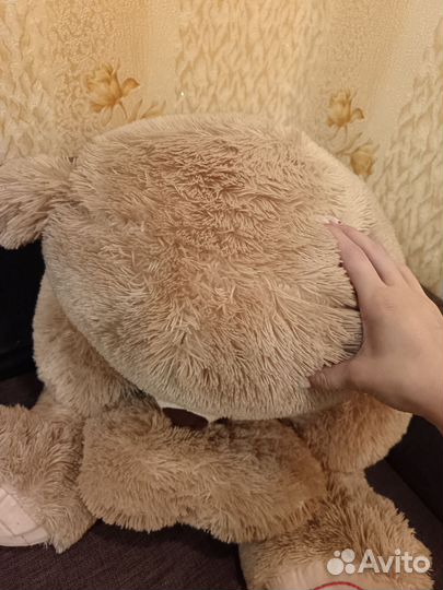 Плюшевый медведь