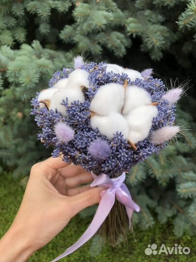 Лаванда сухоцвет