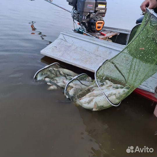 Казанка М