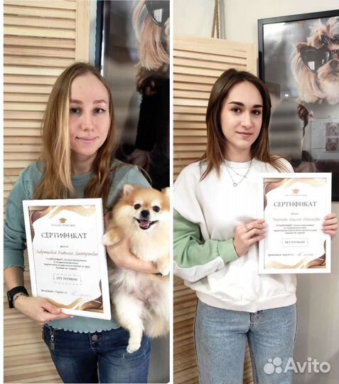 Индивидуальные курсы груминга, Груминг обучение