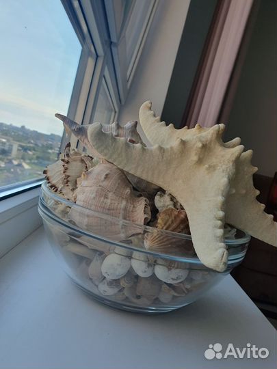 Декор для аквариума