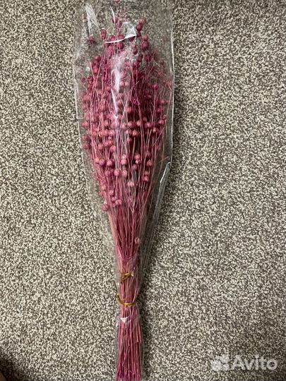 Сухоцвет (лен )