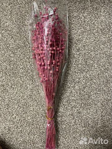 Сухоцвет (лен )