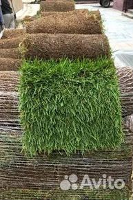 Гидропосев