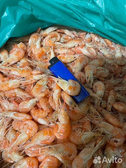 Креветка вареная крупная 3-5 см сухой заморозки