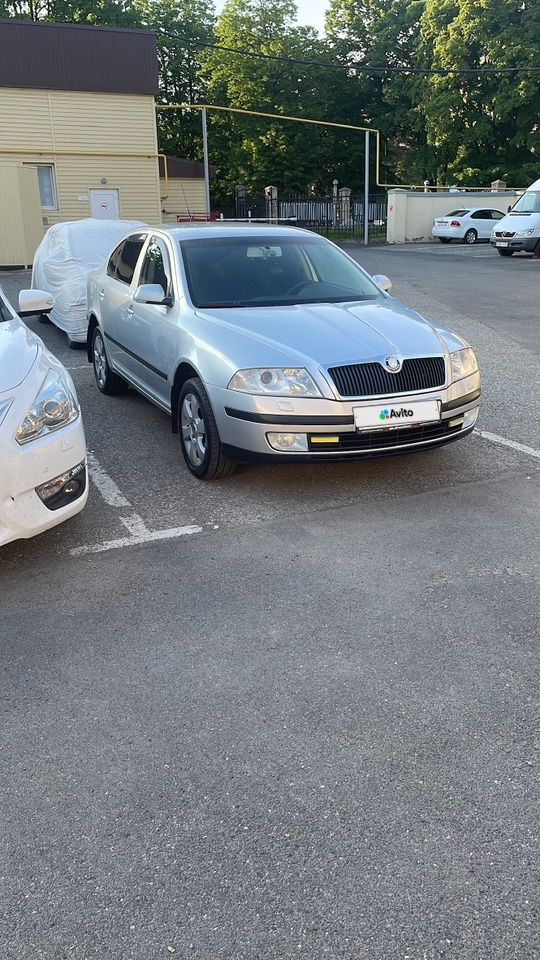 Skoda Octavia: фото владельца