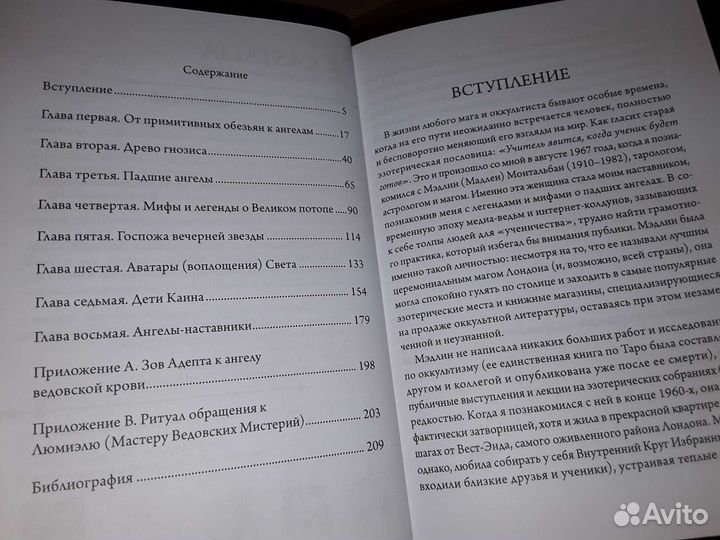 Говард Майкл. Книга падших ангелов