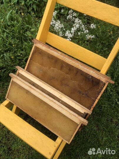 Рамка сушь для пчел