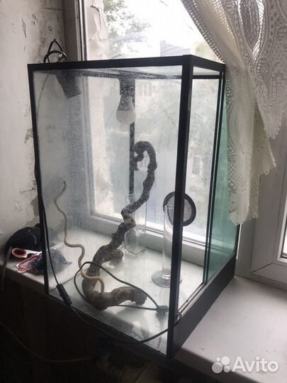 Террариум для хамелеона, большой