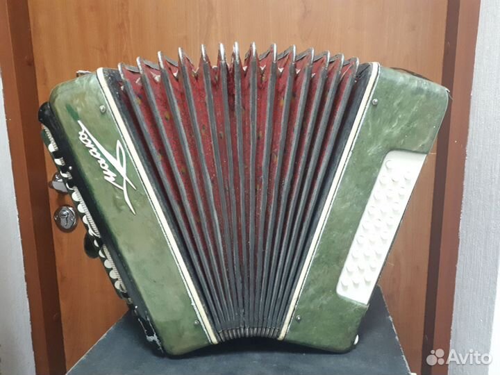 Шуйская гармонь Чайка