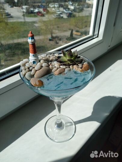 Композиции из суккулентов