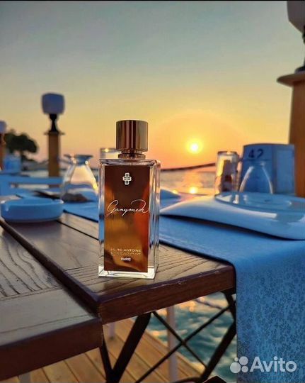 Ganymede Marc-Antoine Barrois —