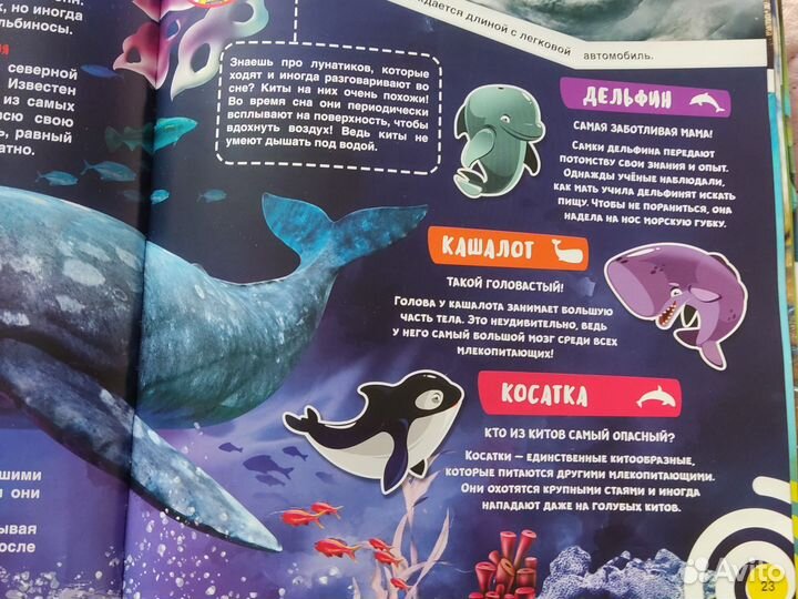 Детские энциклопедии