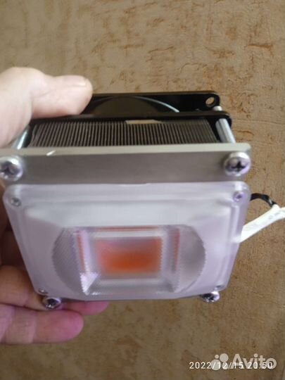 Фитолампа, фитосветильник 50 Вт 220 вольт