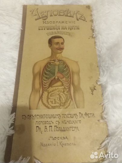 Книга строение человека