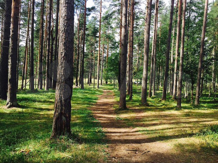 Дом 134 м² на участке 22 сот.