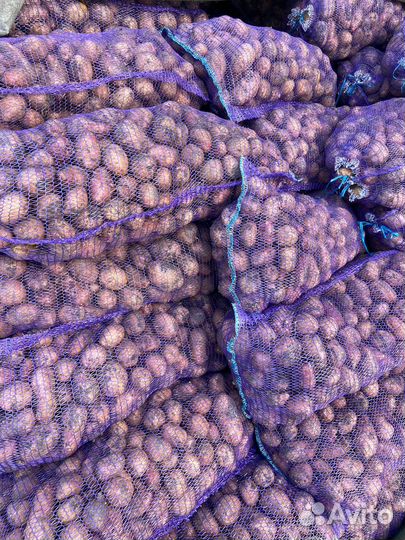 Продам картофель