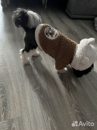 Кофта для собак