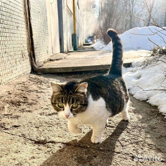 Забава дом ищет