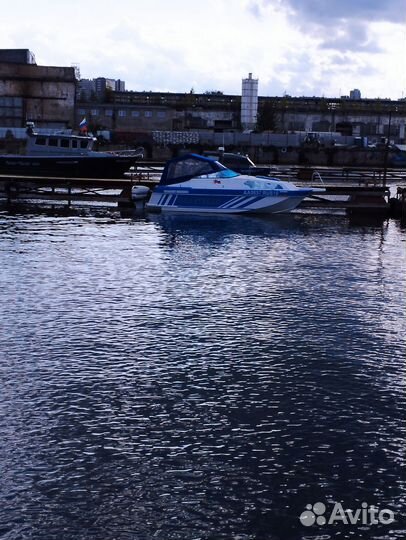 Катер. гольфстрим