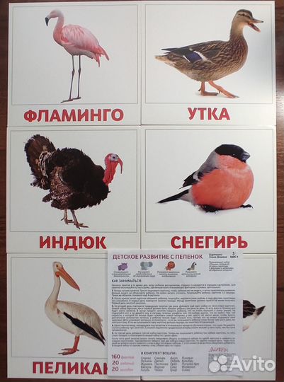 Карточки Домана