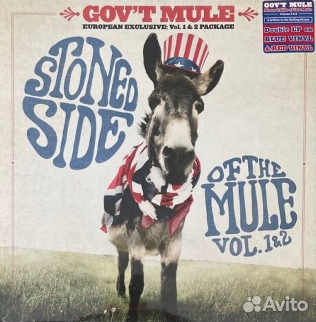 GOV'T mule - Stoned Side Of The Mule (2LP)