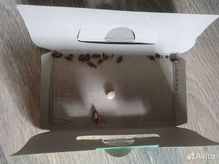 Клеевая ловушка домик от тараканов