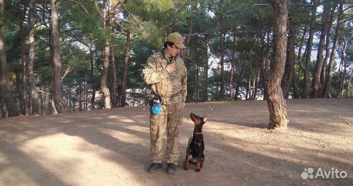 Дрессировка собак в Ялте