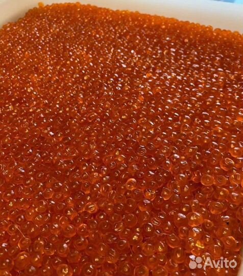 Красная икра