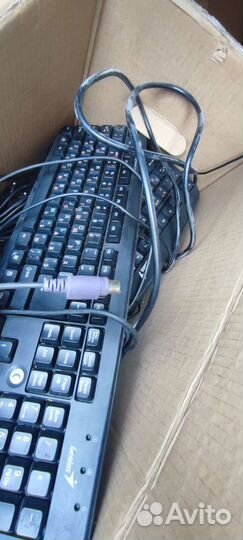 Клавиатура и мышь