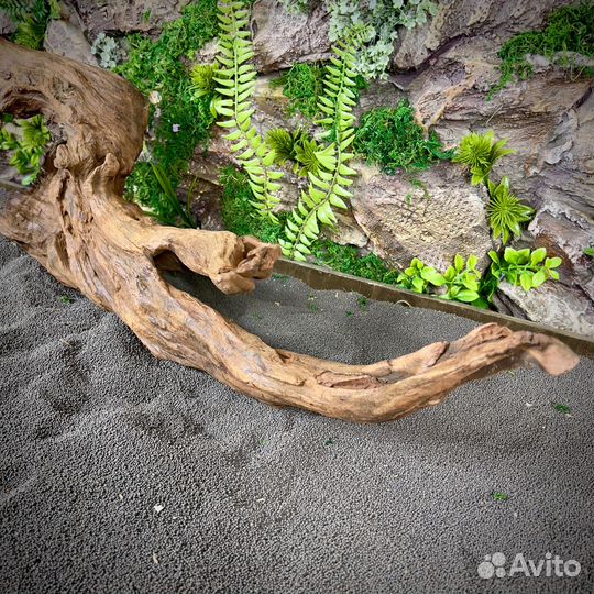 Коряга для аквариума Тиковое дерево (нкт76)