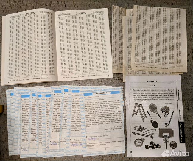 Летние задания 2 3 4 класс бесплатно при покупке