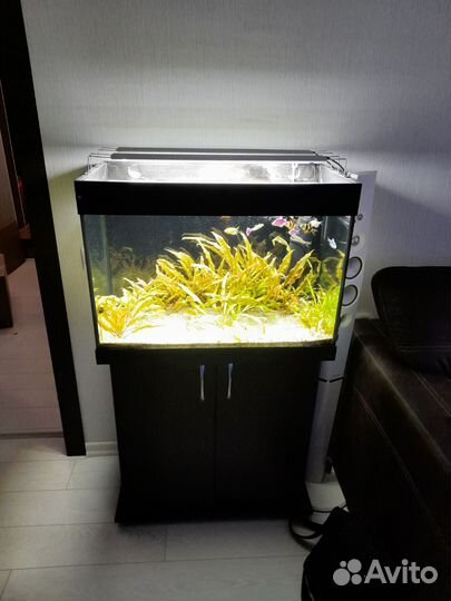 Аквариум