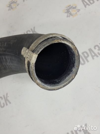 Патрубок интеркулера Ford Transit 2.2 дизель