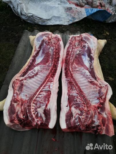 Мясо свинина домашняя