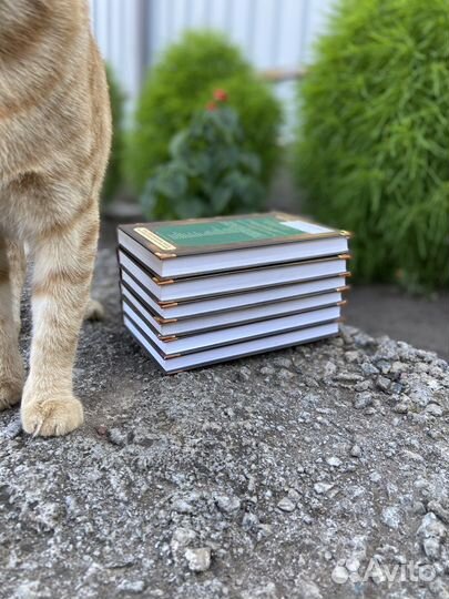 Коты Воители 1 цикл шесть книг