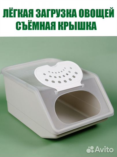 Компактный Ящик Для Хранения Овощей на Кухне