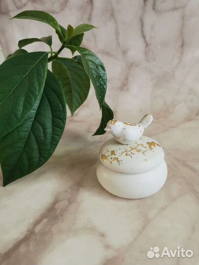 Кашпо или подсвечник из гипса