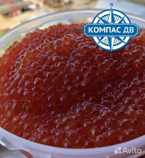 Красная икра Кеты 500 г. в розницу в Москве