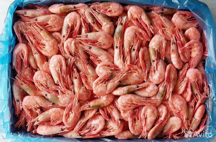 Креветки, лангустины в розницу свежие поставки