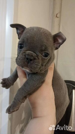 Одинокий мужчина желает познакомиться