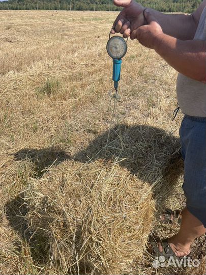 Сено солома в тюках